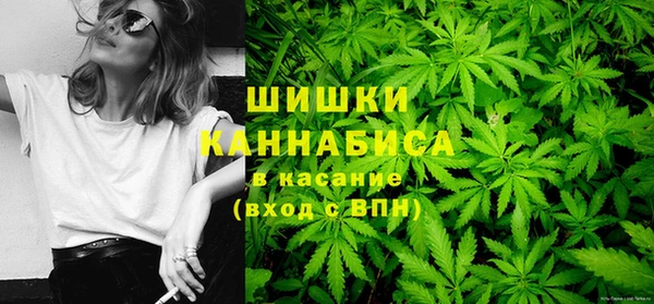 индика Костерёво