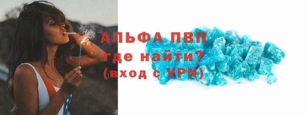 индика Костерёво