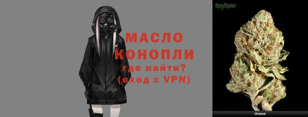 индика Костерёво