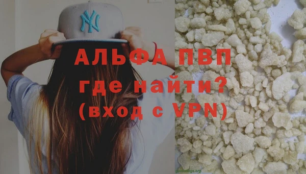 индика Костерёво
