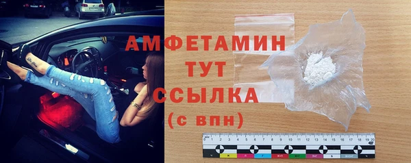 индика Костерёво