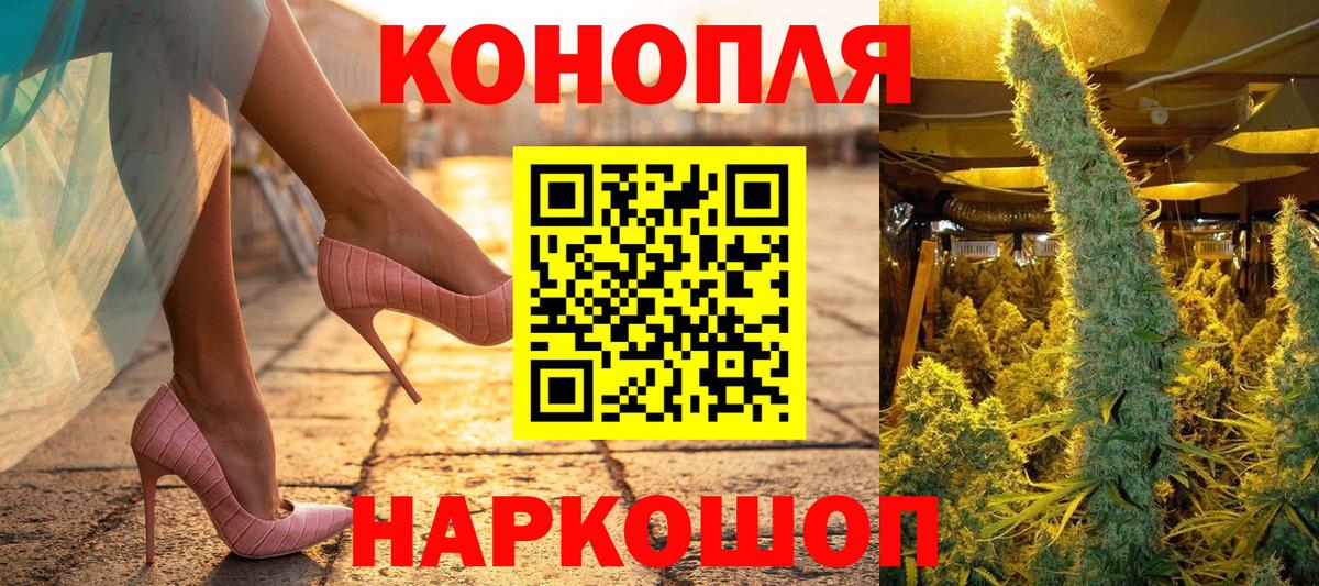 Шишки марихуана план Сочи